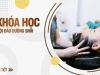 Học gội đầu dưỡng sinh ở HCM | Khóa học gội đầu dưỡng sinh chuyên nghiệp