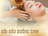 NHỮNG LÝ DO VÌ SAO NÊN ĐI SPA GỘI ĐẦU DƯỠNG SINH | GỘI ĐẦU DƯỠNG SINH TẠI HỒ CHÍ MINH