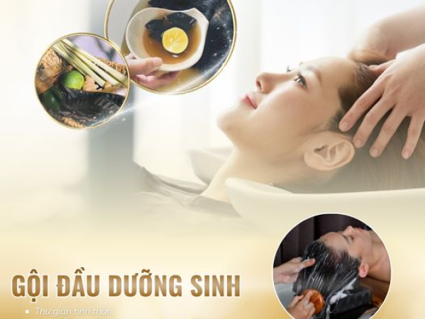 LỢI ÍCH CỦA VIỆC GỘI ĐẦU DƯỠNG SINH | ĐỊA CHỈ GỘI ĐẦU DƯỠNG SINH GIÁ RẺ